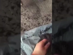 Vidéo de travail de granulation d'engrais à billes