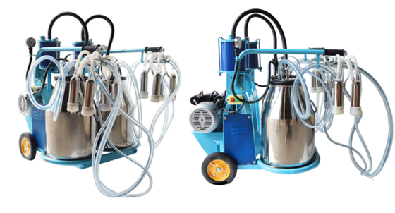 Low Maintenance Required Corrosion Resistant Milking Machine for Sheep with 2-Year Warranty
