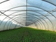 Serre chaude végétale agricole légère préfabriquée Q235 ISO9001 de structure métallique