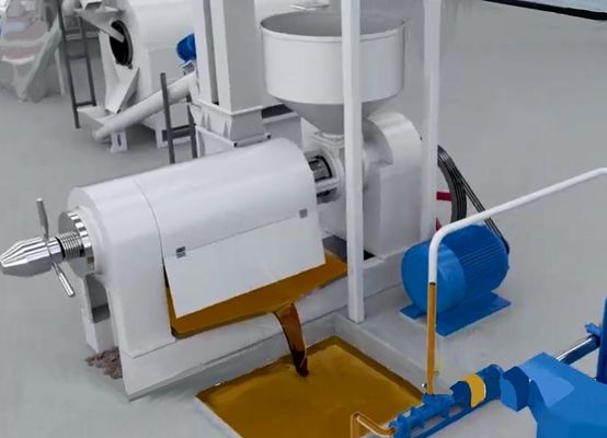 XDEM Machine de pressage à l'huile de concassage de coquille de noyau de palme Système automatique de fissuration et de séparation des noix de palme