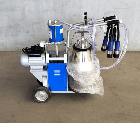 Laveuse de moutons portable anti-corrosion pour les petites exploitations d'élevage