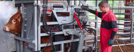 Équipement pour l'élevage en poudre enduit de revêtement résistant à la corrosion écrasant pour le bétail à faible entretien retenant pour animaux parachute pour vache à usage vétérinaire agricole