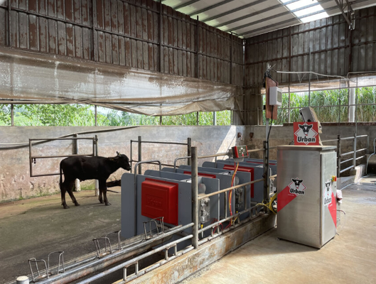 Équipement pour l'élevage en poudre enduit de revêtement résistant à la corrosion écrasant pour le bétail à faible entretien retenant pour animaux parachute pour vache à usage vétérinaire agricole