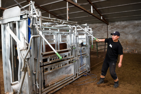 Équipement pour l'élevage en poudre enduit de revêtement résistant à la corrosion écrasant pour le bétail à faible entretien retenant pour animaux parachute pour vache à usage vétérinaire agricole