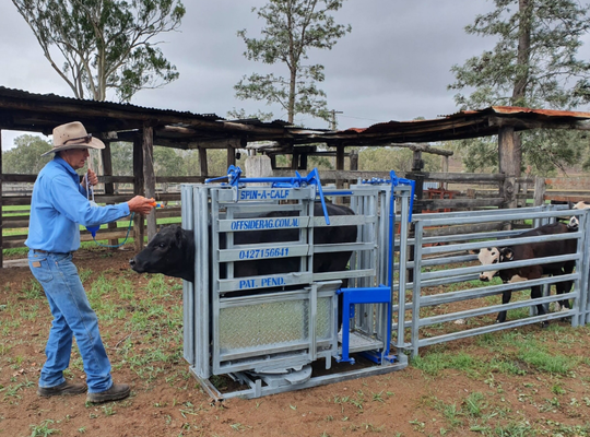 Équipement pour l'élevage en poudre enduit de revêtement résistant à la corrosion écrasant pour le bétail à faible entretien retenant pour animaux parachute pour vache à usage vétérinaire agricole