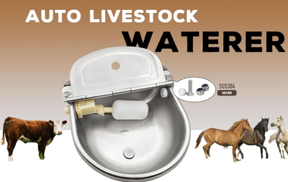 Abreuvoir pour bétail, revêtement en poudre, abreuvoir résistant à la corrosion, facile à connecter au système d'alimentation en eau de la ferme, pour une utilisation dans une étable à bétail et à vaches