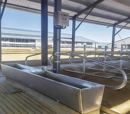Abreuvoir pour bétail, revêtement en poudre, abreuvoir résistant à la corrosion, facile à connecter au système d'alimentation en eau de la ferme, pour une utilisation dans une étable à bétail et à vaches