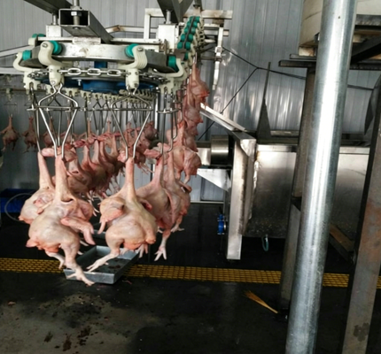 Poultry Processing Machine PLC Control 3-5KW Motor Power High Efficient Chicken Duck Goose Slaughtering Production Line CE Certified