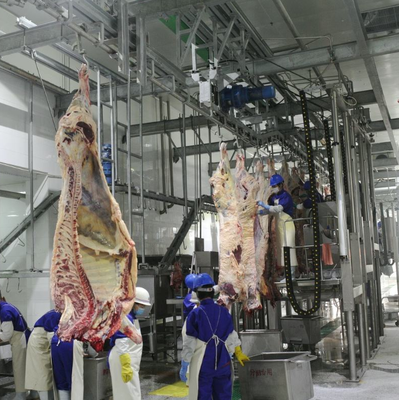 Stainless Steel Slaughtering Equipment with PLC Control and GB Standard for Efficient Meat Processing