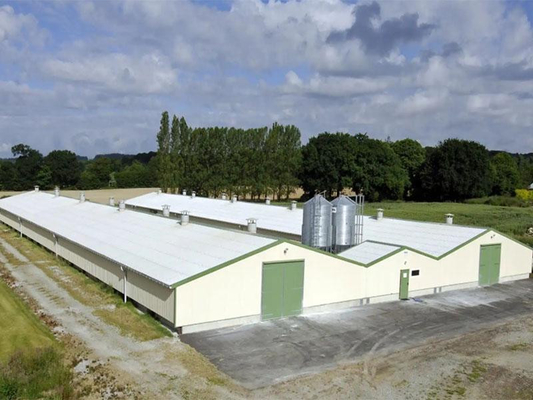 Poulet et ferme avicole d'atelier de production d'entrepôt de structure métallique de XDEM