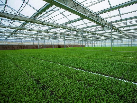 Serre chaude végétale agricole légère préfabriquée Q235 ISO9001 de structure métallique