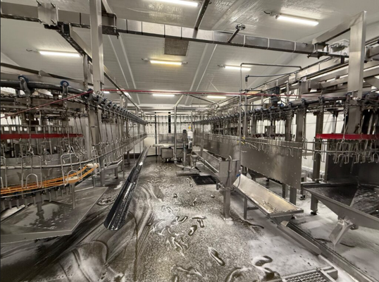Équipement d'abattage semi-automatique en acier inoxydable à commande PLC pour porcs, bovins et ovins