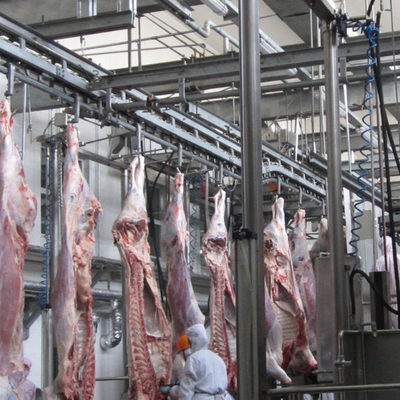 Équipement d'abattage Contrôle PLC semi-automatique en acier inoxydable 220V/380V Pour les porcs, les bovins et les moutons