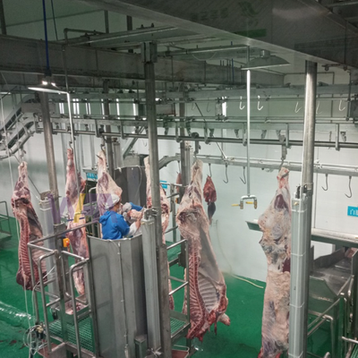 Équipement d'abattage contrôle PLC en acier inoxydable ligne d'abattage de transport automatique pour une transformation efficace de la viande animale certifiée CE